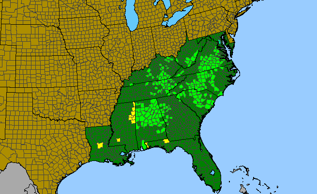 The range of Coreopsis auriculata